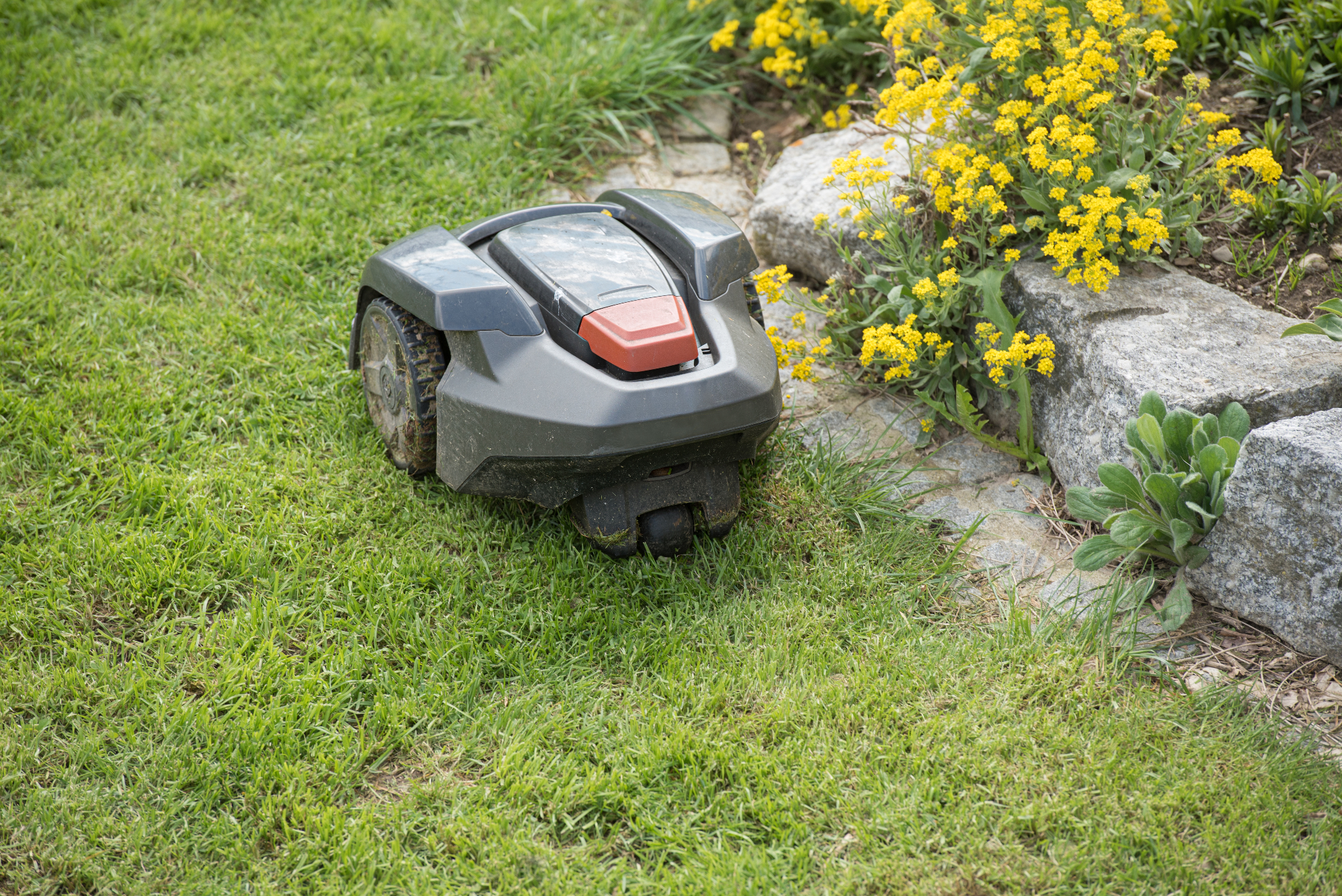 Robotske kosilnice so super zadeva za ljudi, ki nimajo dosti časa